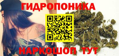 амф Пенза