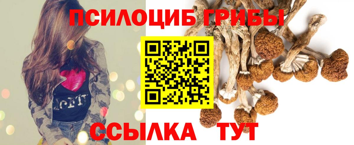 Нижнеудинск  Псилоцибиновые грибы Psilocybe  Вход с VPN 